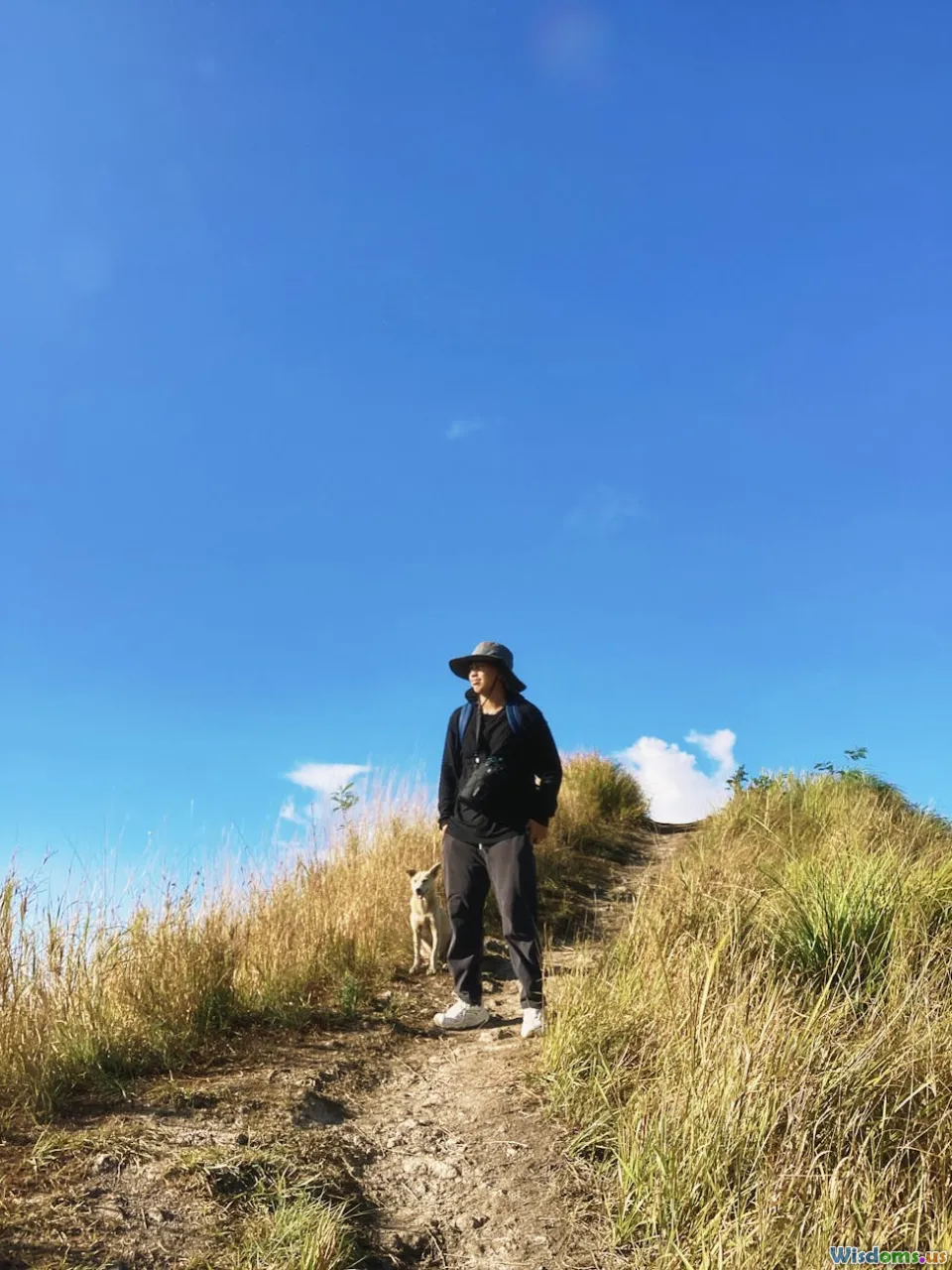 Texas, blue dog, rural landscape, wildlife trail cameras