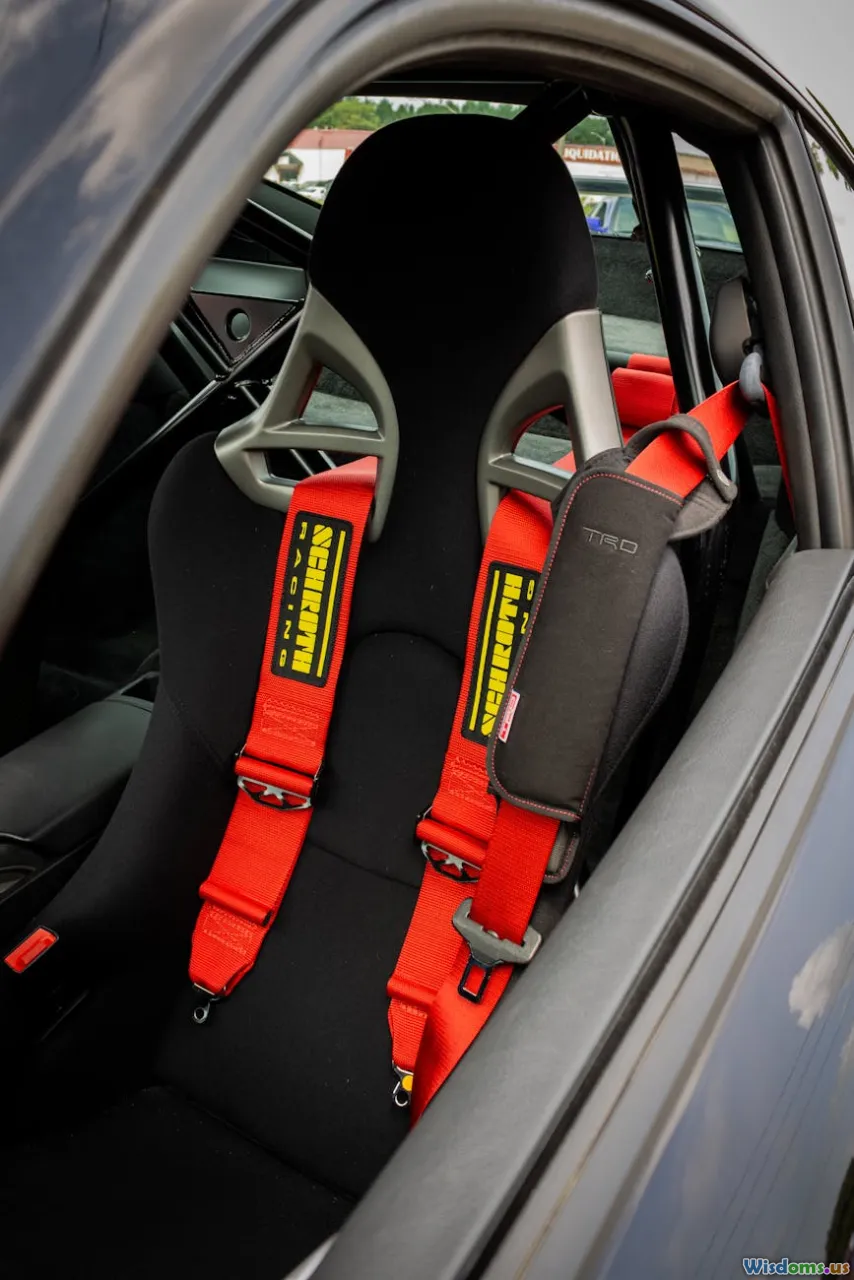 travel, car ramp, harness, adventure