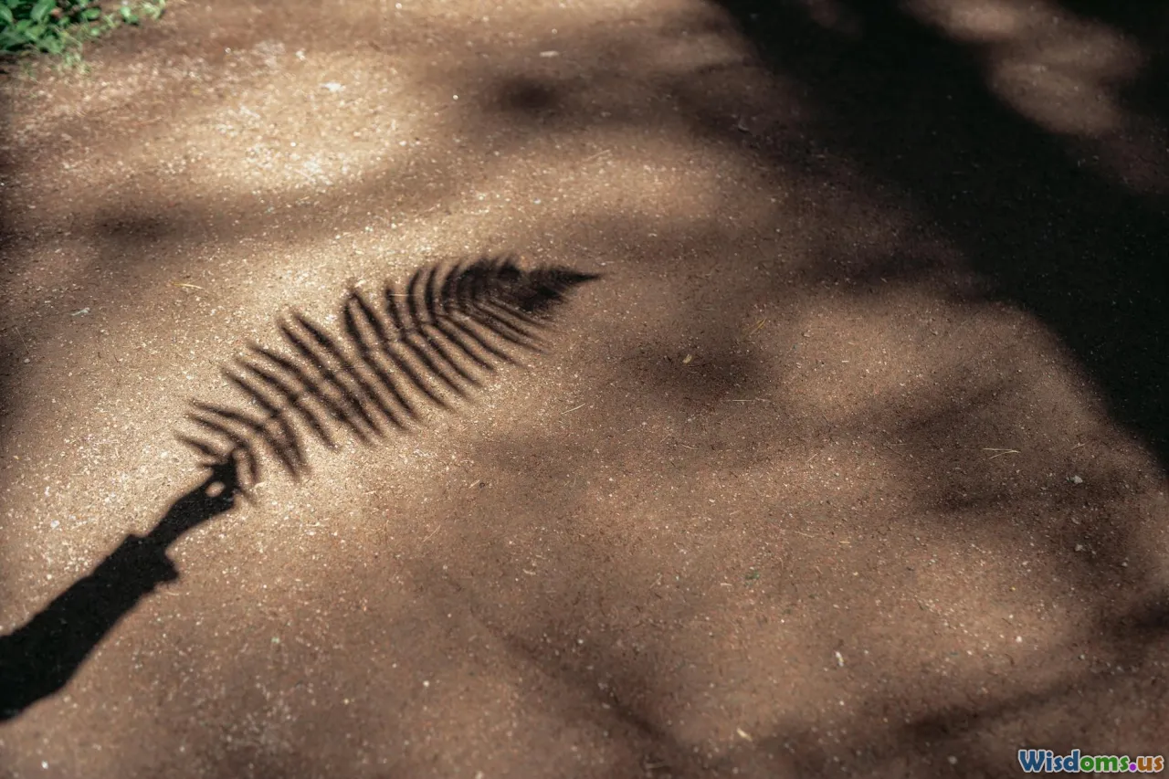 visualization, nature, sunlight