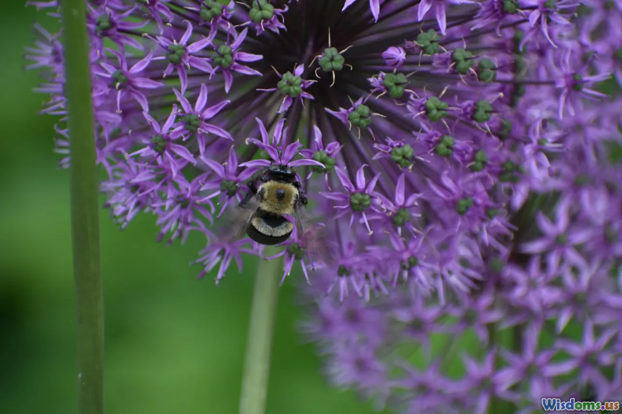 Five Surprising Impacts Lightning Has on Local Ecosystems