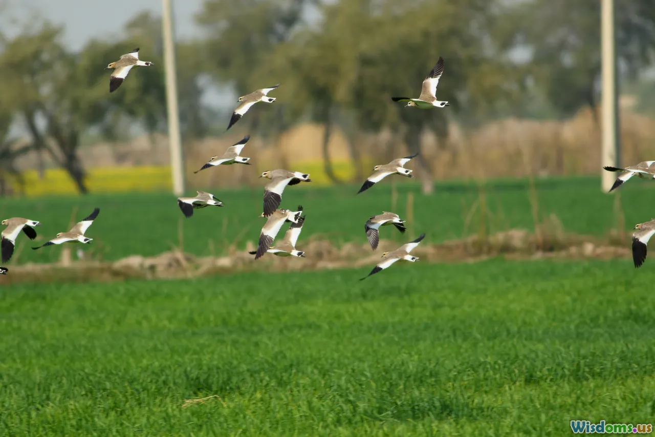 Reducing Pesticide Use Protects Birds More Than You Think