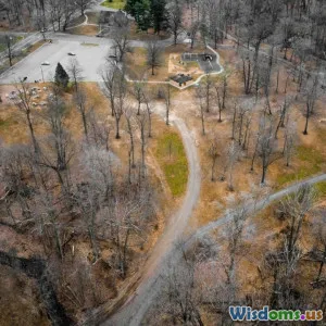 Comparing Leadership Styles Wilderness Versus Urban Emergencies