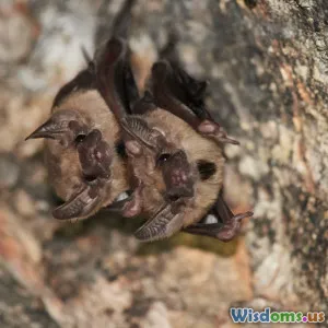 How You Can Contribute to Endangered Bat Conservation