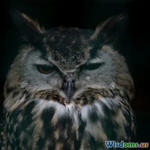 Battle Of Routines Night Owls Versus Early Risers