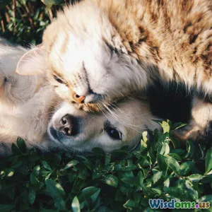 2024 Trends Shaping Pet Insurance Premiums and Payouts