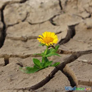 Personal Story Surviving Three Days Lost in a Desert