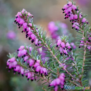 Why KMeans Clustering Struggles With Real World Data Sets