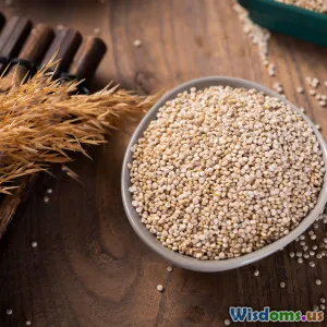 Top Plant Based Protein Sources for Beginners