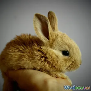 Building a Safe Outdoor Space for Rabbits