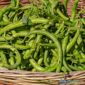 Urban Food Deserts How Rooftop Gardens Offer Hope