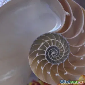 Ways the Fibonacci Sequence Energizes Modern Mindfulness Practices