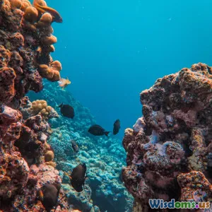 A Close Look at Coral Bleaching and What Divers Can Do to Help