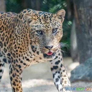 Conservation Strategies for Endangered Species