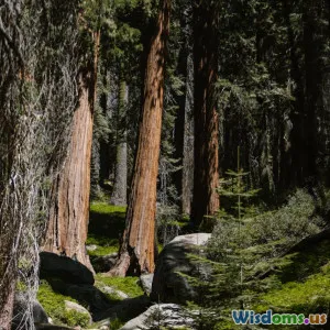 Debunking the Myth Moss Always Grows on the North Side of Trees