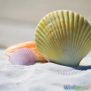 First Humans in Polynesian Legends Were Born From Shells Heres Why