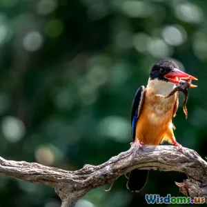 كيف يؤثر سلوك الحيوان على النظم البيئية