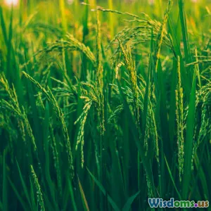 How Irrigation Transformed Life in the Fertile Crescent