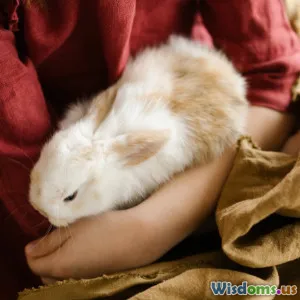 How to Build a DIY Enrichment Maze for Pet Rabbits