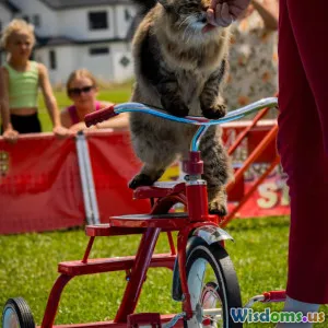 How to Train Your Cat: Tips and Tricks