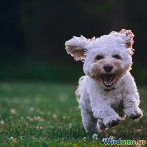 Leash Walking Like a Pro Four Training Secrets Revealed