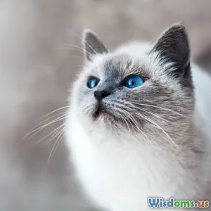 My Senior Cat Stopped Grooming What Helped Her Recover