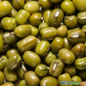 Plant Based Protein Sources That Rival Meat for Muscle Growth