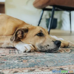 Playtime: Understanding Its Importance for Pets
