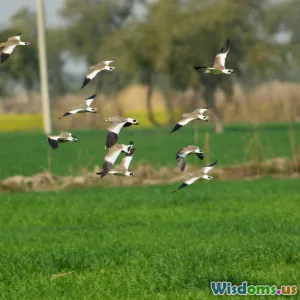 Reducing Pesticide Use Protects Birds More Than You Think