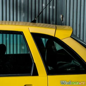 Ride Sharing Bans in Cities Who Really Benefits