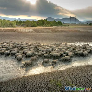 Ten Surprising Foods Helping Farmers Conserve Water in Dry Regions