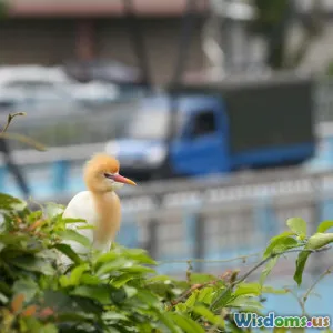 The Impact of Biodiversity on City Living