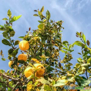 The Importance of Biodiversity in Agriculture
