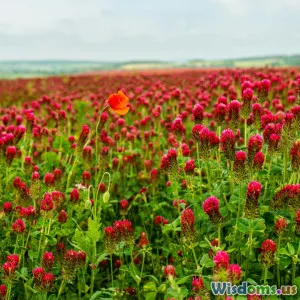 The Importance of Pollinators in Agriculture