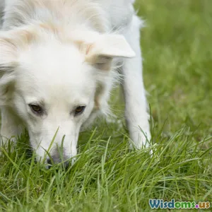 Tips for Reading Pet Emotions