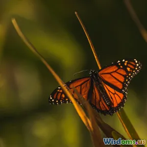 Tracking Monarch Butterfly Migration Using Citizen Science Apps