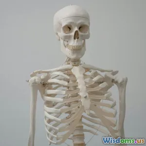 Transforming Anatomy Lessons: The Benefits of AR