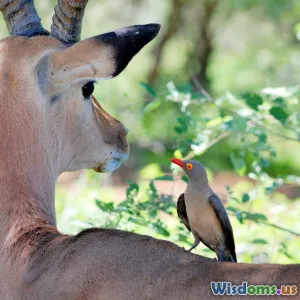 Understanding Symbiosis in the Animal Kingdom