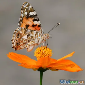 What Happens If We Lose the Monarch Butterfly Forever