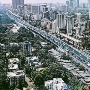 What Nature Based Solutions Mean for Urban Areas
