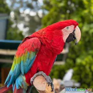 Why Do Parrots Pluck Their Feathers and How Can You Prevent It